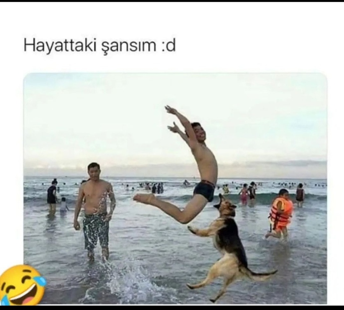 😂😂😂