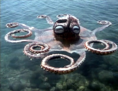 Hiç ahtapot 🐙 gördünüz mü?