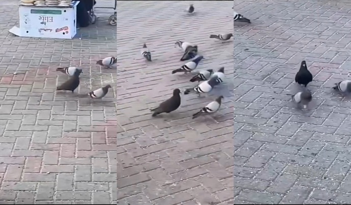 Erkek dedigin Hayır dan anlamaz Şöyle takip eder ve zorlar, Erkekler siz sevdiginizin pesinden kosar misiniz?