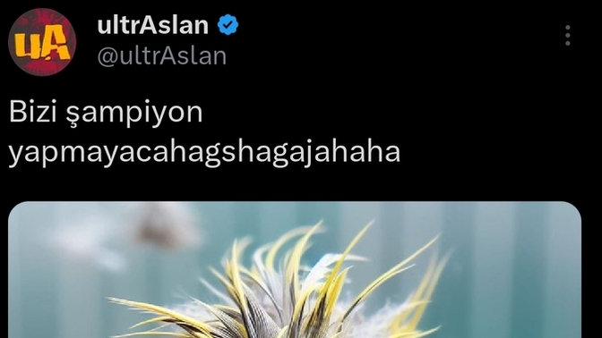 Şampiyonluğu kutluyor musunuz?