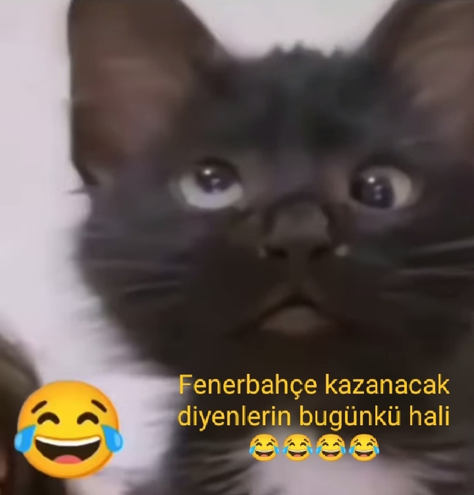Fenerlilerin bugünkü yüz ifadesi böyle miydi 🤣🤣?