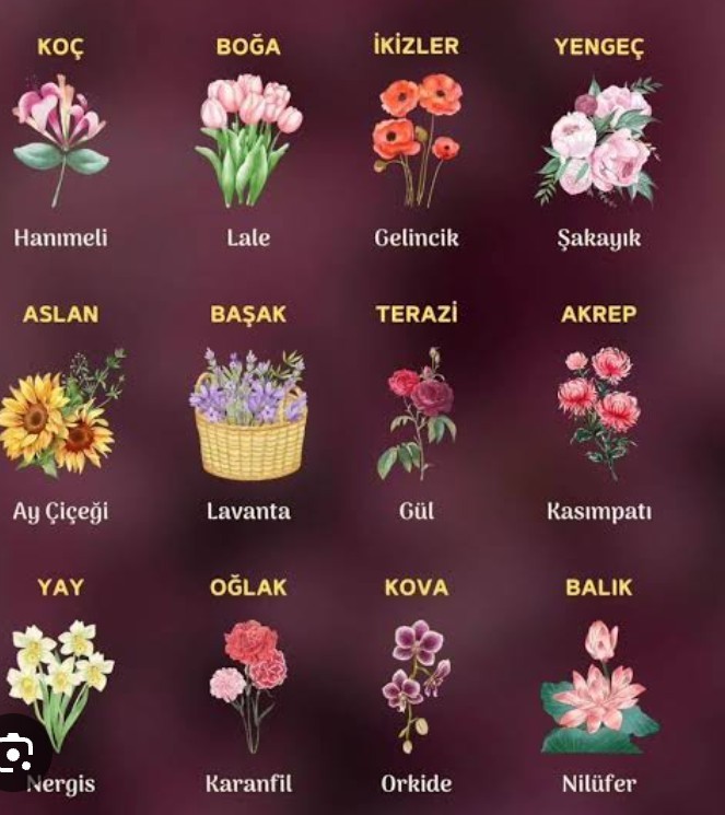 Burcunuza göre hangi çiçeksin?
