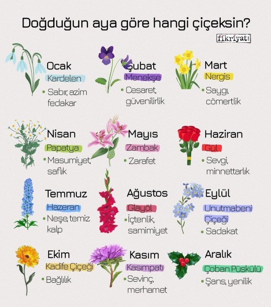 Doğduğun aya göre hangi çiçeksin?