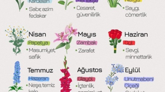 Doğduğun aya göre hangi çiçeksin?
