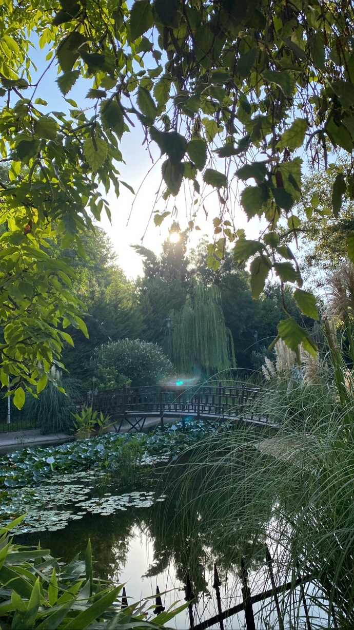 Manzarama kaç puan verirsin🦋✨🐛🍃?
