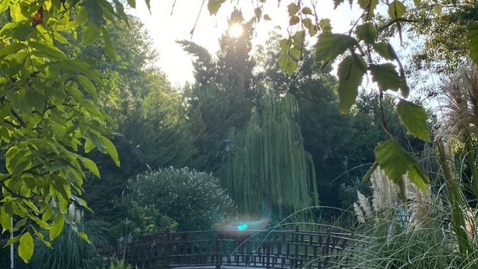 Manzarama kaç puan verirsin🦋✨🐛🍃?