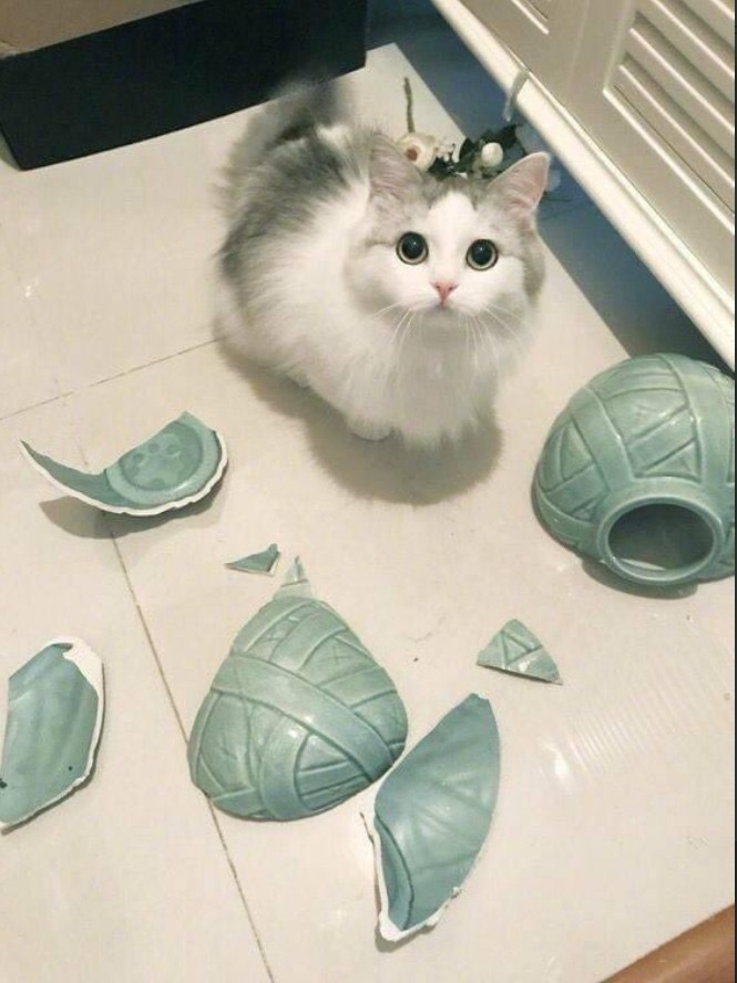 En son hangi olaya kızdınız?