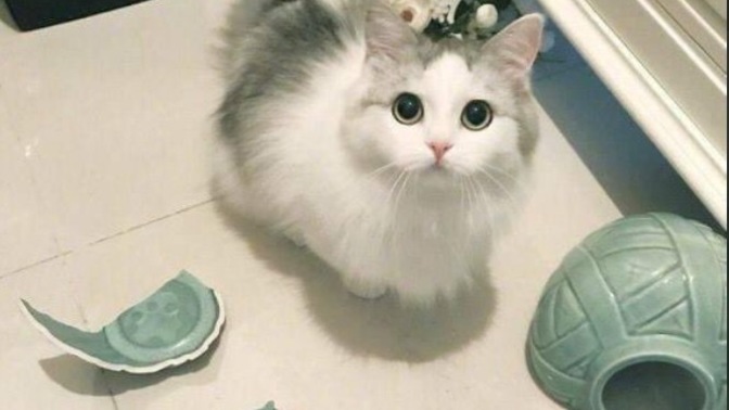 En son hangi olaya kızdınız?