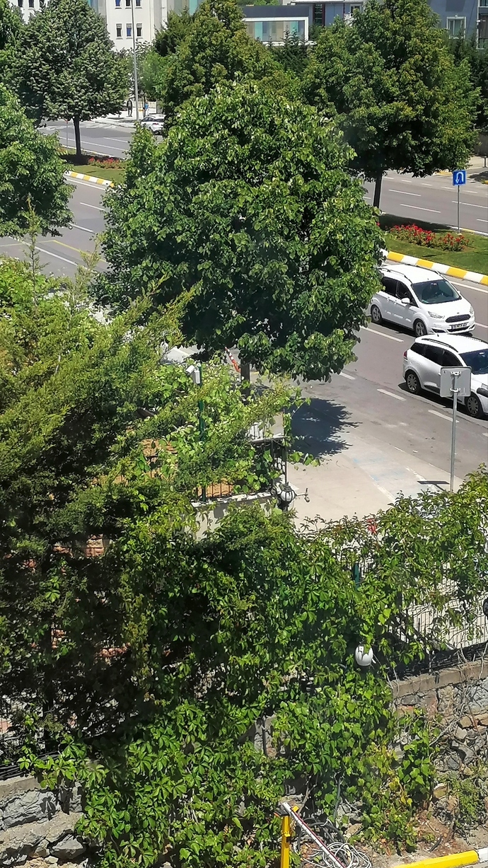 Sizce bu kare hangi şehirde çekildi?