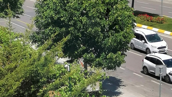 Sizce bu kare hangi şehirde çekildi?