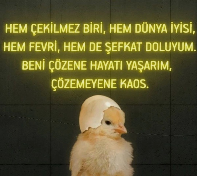 Sizi çözmek kolay mı, zor mu?