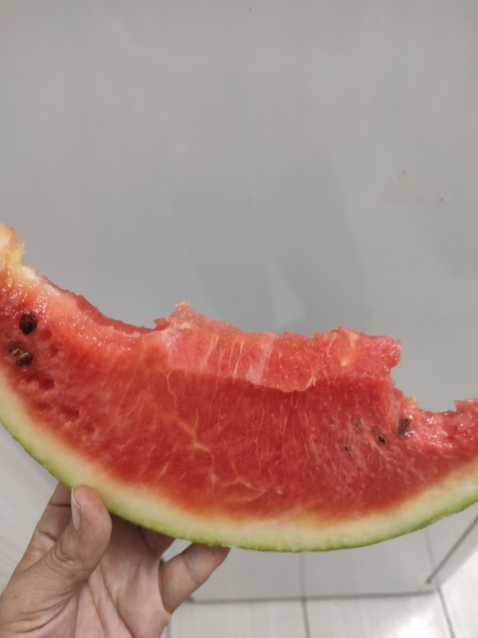 Isırarak yediğiniz en son şeyden bir ısırık alsaydım ne yemiş olurdum?