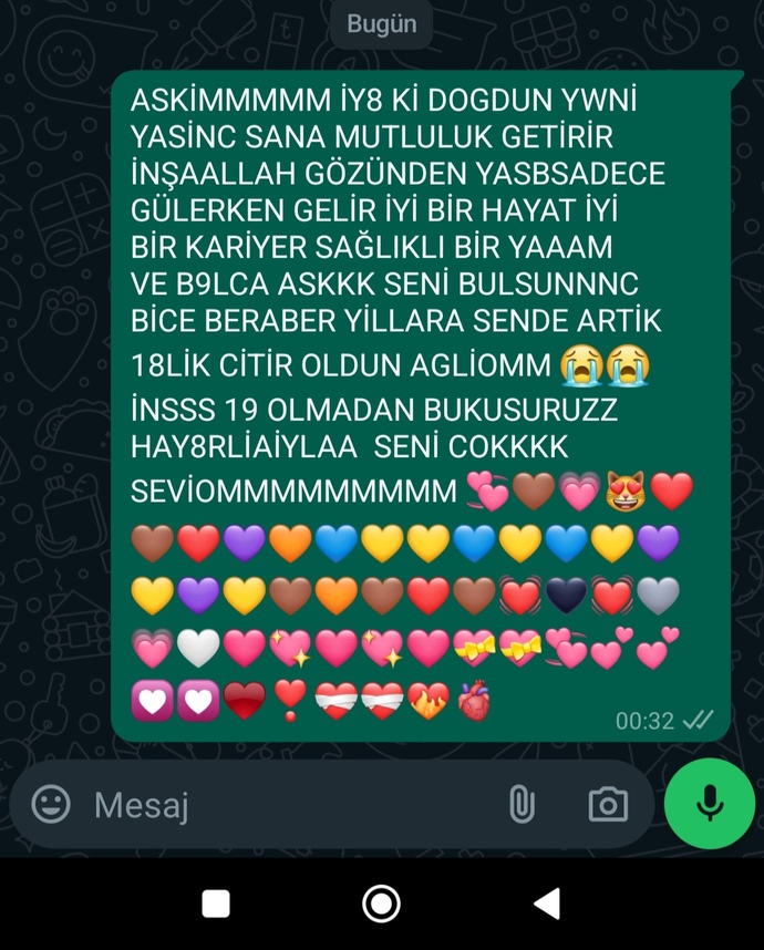 Kendi yazdığım mesajı okuyamam normal mi?