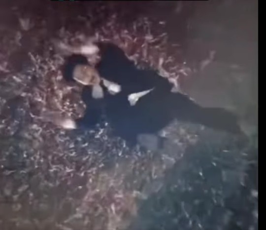 Resimdeki filmin adını bilen var mı?