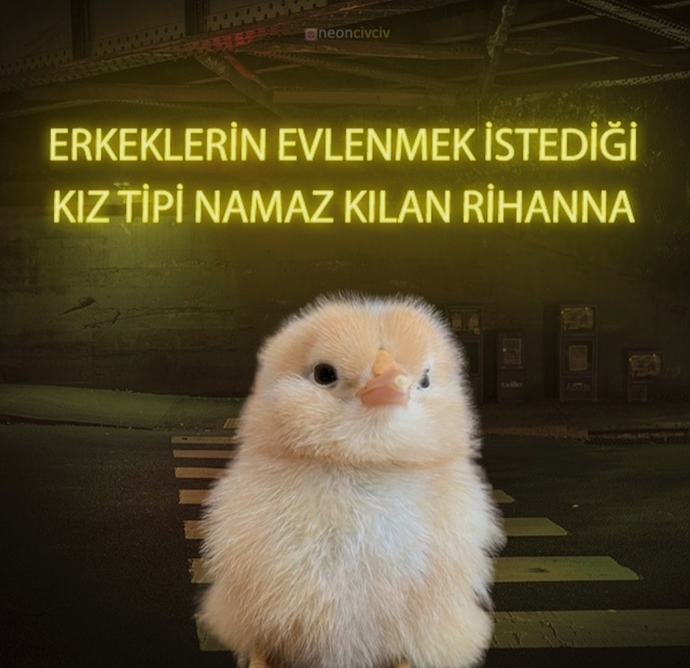 Evlenmek istediğiniz kişinin tipi nasıl olmalı 😃?