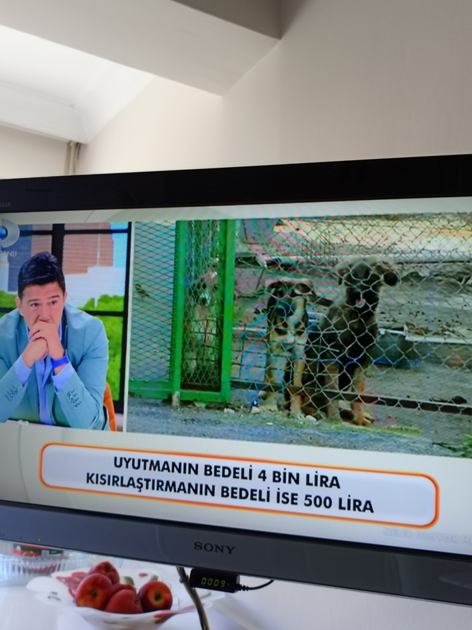 Siyasiler niye boş algı yaratıyor?