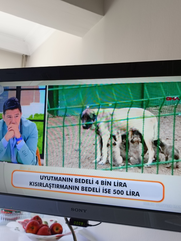 Siyasiler niye boş algı yaratıyor?