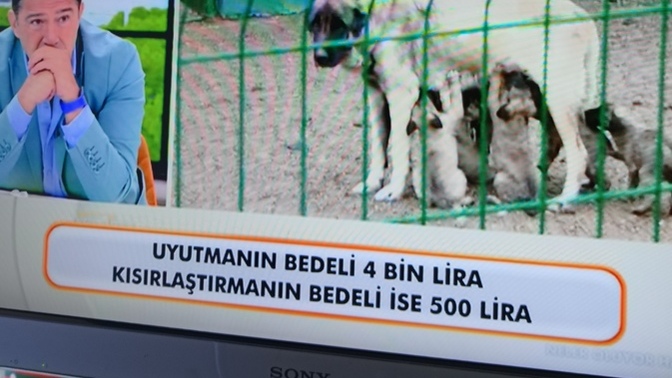 Siyasiler niye boş algı yaratıyor?