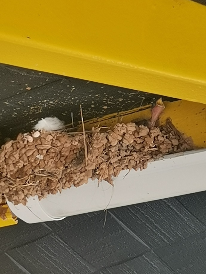 Bugün mutlu musun? Aldığın en güzel haber neydi?