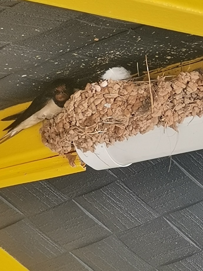 Bugün mutlu musun? Aldığın en güzel haber neydi?