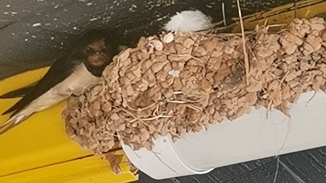 Bugün mutlu musun? Aldığın en güzel haber neydi?