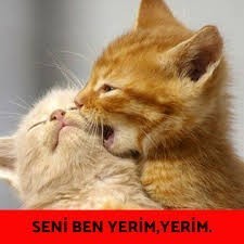 Yerim seni demek ayıp mı?