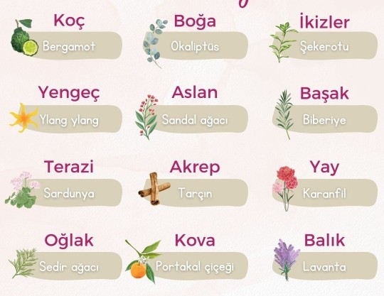 Burcuna göre hangi kokusun?