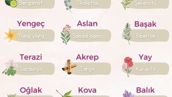 Burcuna göre hangi kokusun?