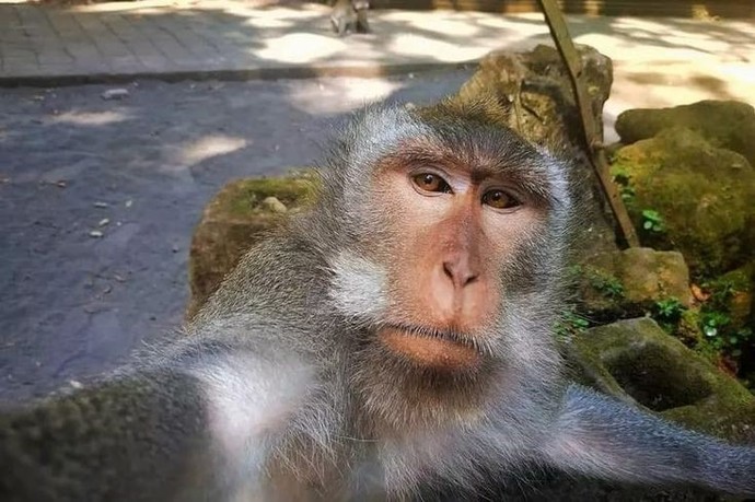 Tipe bak bu çok komik 😂😂