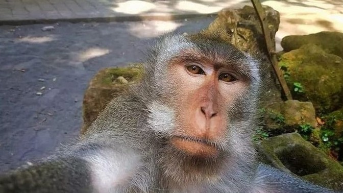 % kaç oranında kıskançsınız✨?