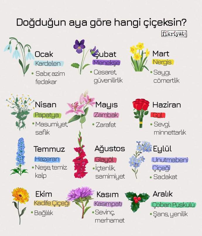 Doğduğun aya göre hangi çiçeksin 🌸 ?