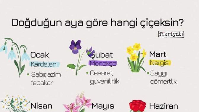 Doğduğun aya göre hangi çiçeksin 🌸 ?