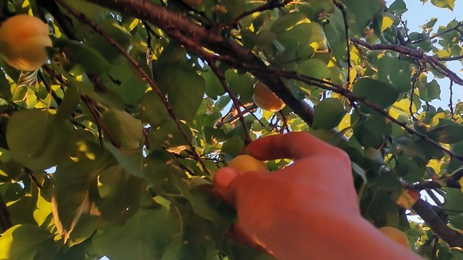 Açık alanda uyudun mu?