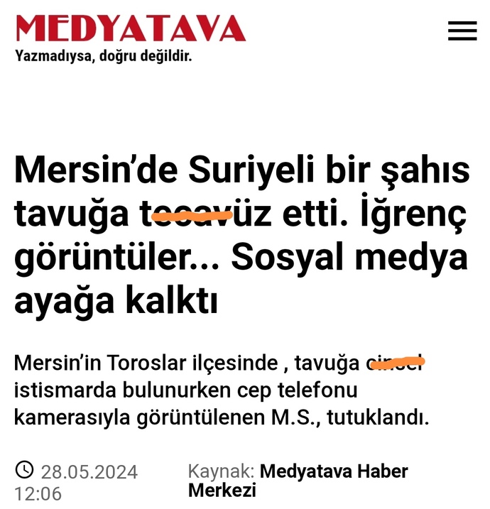 Sokak köpeklerinden daha tehlikeli değiller mi?