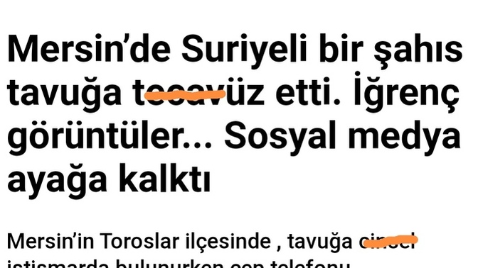 Sokak köpeklerinden daha tehlikeli değiller mi?