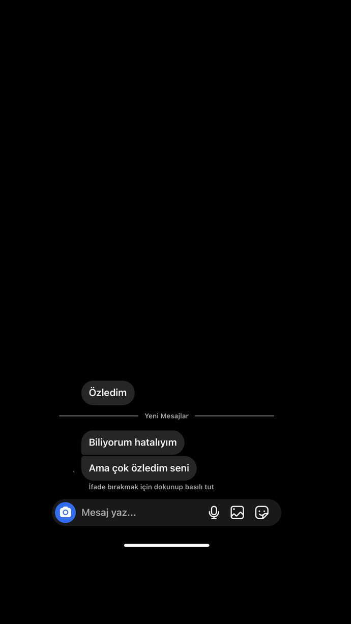 Ne diyim şimdi?