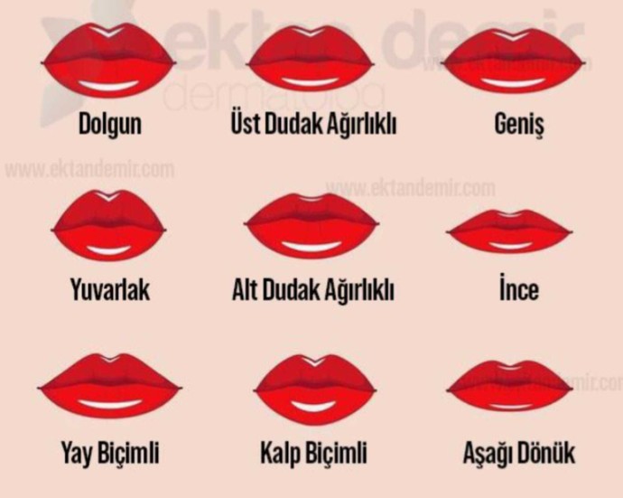 Sizin kadınlarda sürdüğiniz dudak şekilleri?