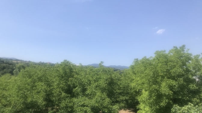 Köyde yaşamak ister miydiniz?