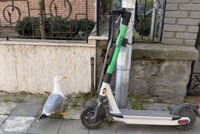 Ruh eşinizi bulduğunuzu sandığınız oldu mu?