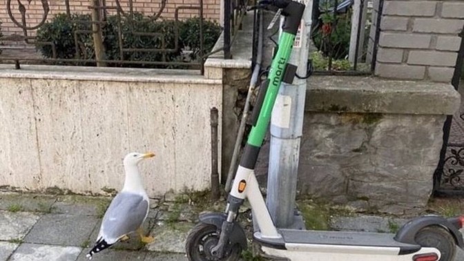 Ruh eşinizi bulduğunuzu sandığınız oldu mu?