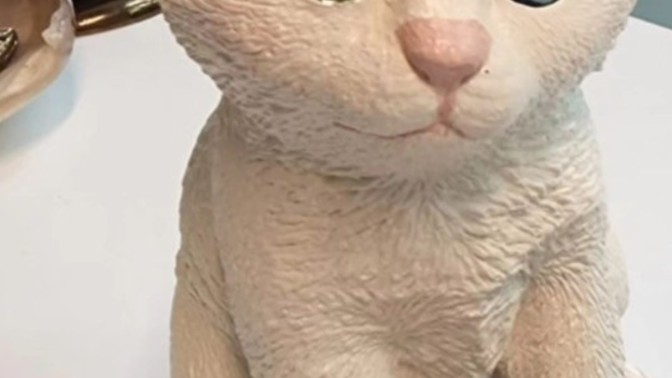 Hiç kedi olmak istediniz mi?