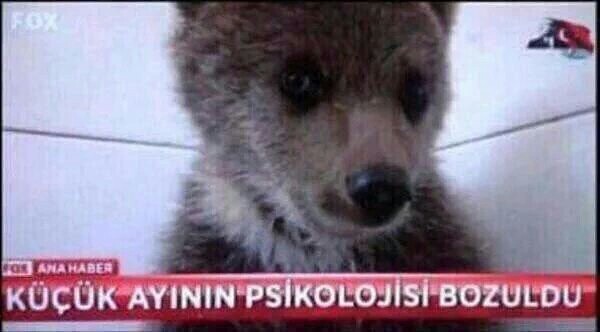 Bulutlu havalarda karnınızda ya da herhangi bir uzvunuzda kelebekler uçuşuyor mu 🤣?