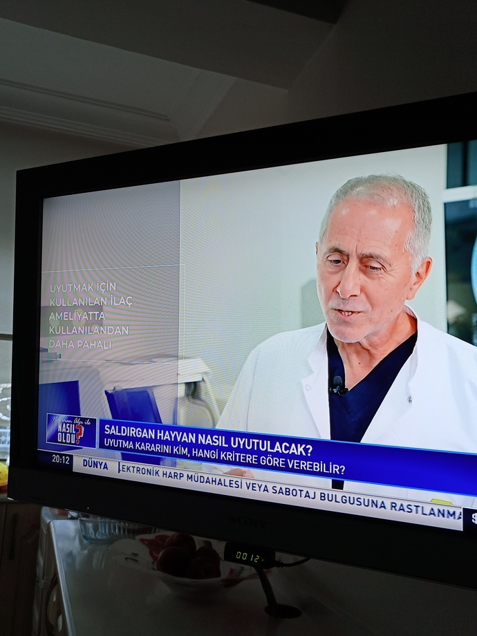 Hayvanın canını önemsemeyip empati yapmayan insan Allahın cennettine girebileceğine inanıyor mu?