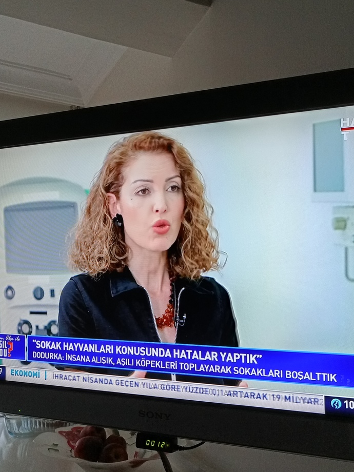 Hayvanın canını önemsemeyip empati yapmayan insan Allahın cennettine girebileceğine inanıyor mu?