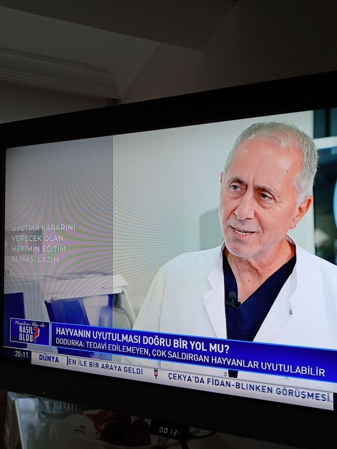 Hayvanın canını önemsemeyip empati yapmayan insan Allahın cennettine girebileceğine inanıyor mu?