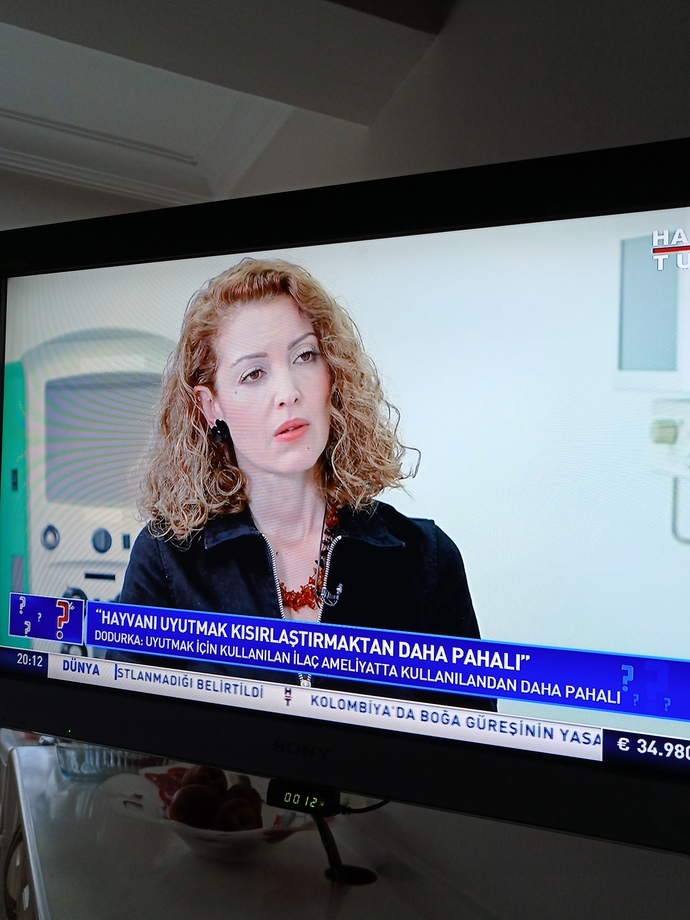 Hayvanın canını önemsemeyip empati yapmayan insan Allahın cennettine girebileceğine inanıyor mu?