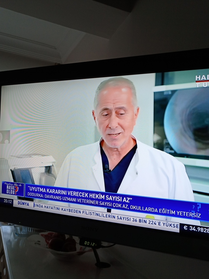 Hayvanın canını önemsemeyip empati yapmayan insan Allahın cennettine girebileceğine inanıyor mu?