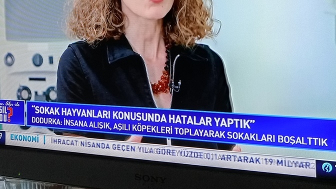 Hayvanın canını önemsemeyip empati yapmayan insan Allah'ın cennettine girebileceğine inanıyor mu?