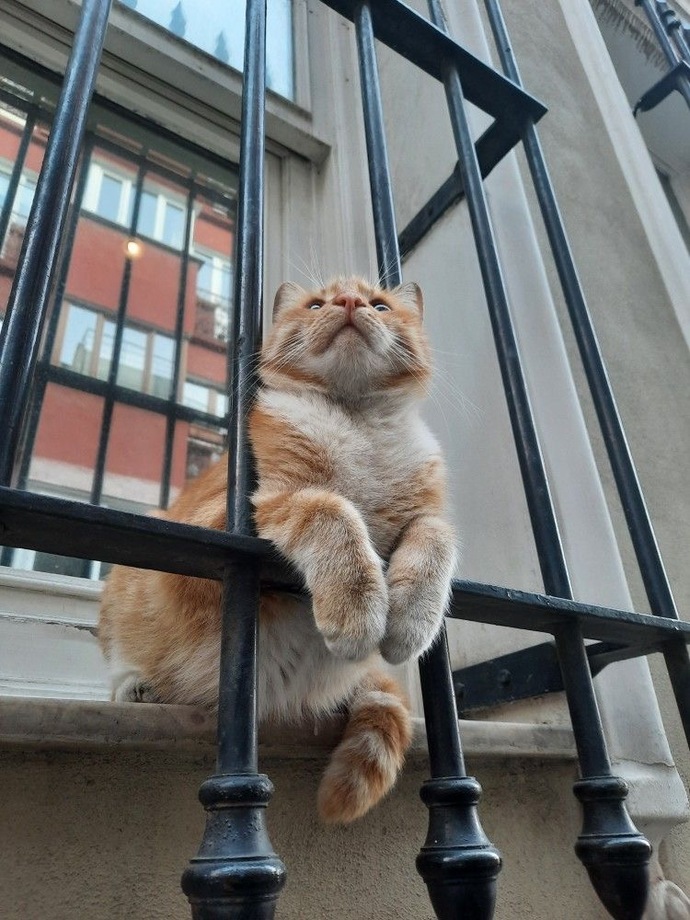 Keşke güvenlik kameram bunlar olsaydı 🥹