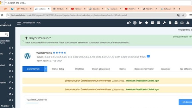 Wordpress hatasını nasıl çözerim?